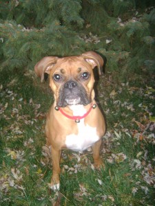 Laylah Ali Bittner-Bennett- My big puppy